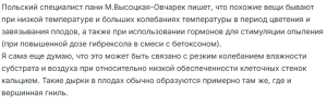 пюричины дырок в плодах томата.png