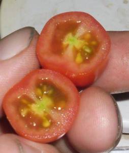 6.thumb.JPG.74a83f12f5dd064be194b898d2e1de8e.JPG