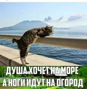 64231e75c95fb4c9b8083fdf5ce6832b.jpg