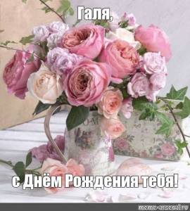 гале.jpg