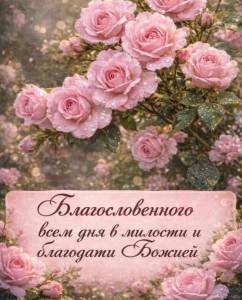 686a1d9e-22d0-4fcb-ba4b-294510846fac.jpeg