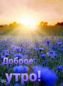 6eb0b38896239637109d9a0e597d0fc4.thumb.jpg.565ae6194ac3cfd55e5e370fd31da1cd.jpg