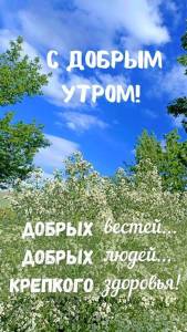 7156a789fcb55ca759e2cd128b2d1652.thumb.jpg.83c9e92c2bb0802b07236e55df7e5879.jpg