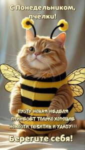 7cce766a3e1d5fbc0fd94a6c40213187.jpg