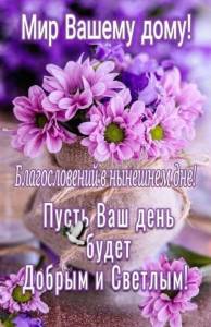 8541e10ca5d269918d8dee9a3b27fdb1.jpg