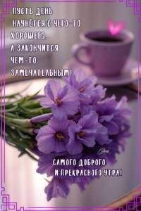 96b8f1be5b6892a54d08559f4d0d1c48.jpg