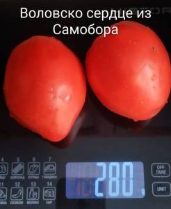 IMG_20260704_135421~2.jpg