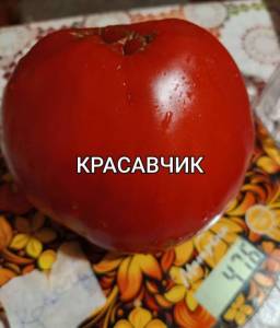 Compress_20251002_131633_3715.thumb.jpg.e6a4f05cdc713bf6669d2034630516e6.jpg