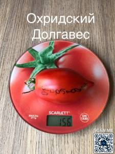 EF617309-E3B8-4B50-8C0F-D4E55E4DB434.jpeg