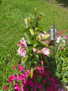 IMG-20260727-WA0000.jpg