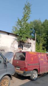 IMG-20260728-WA0003.jpg