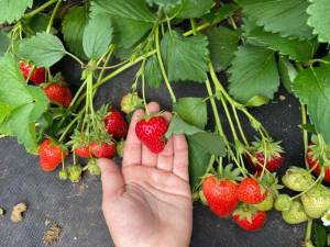 IMG_1334.thumb.jpeg.671656a3c57ab8ddeea8e163f5015a8e.jpeg
