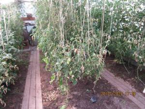 IMG_1396.thumb.JPG.36c839733dc2d7bc5db84eddb8bfcee7.JPG