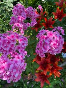 IMG_1542.jpeg