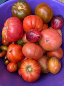 IMG_1543.jpeg