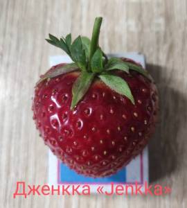 IMG_20260630_113546.jpg