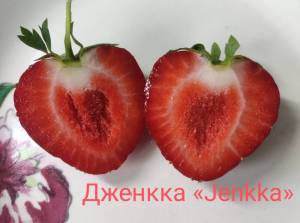 IMG_20260630_113745.jpg