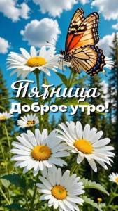 IMG_20260703_071200_773.jpg