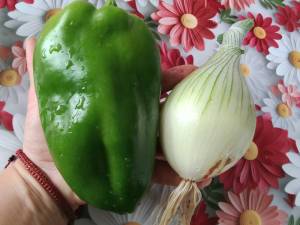 IMG_20260705_122827.thumb.jpg.619483b3c10a35dd6db5ac938d56fc6b.jpg