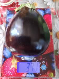 IMG_20260705_144714.jpg