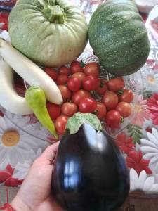IMG_20260705_144744.jpg