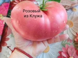 IMG_20260710_090024.thumb.jpg.fe068f3d9a72250232d92207a48f683e.jpg