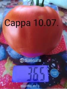 IMG_20260710_174232.thumb.jpg.fa8ef56971f58f857332f6c8f6a0b44d.jpg