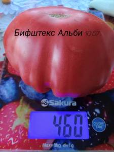 IMG_20260710_174419.thumb.jpg.f9722f86b26b5662cfaeac8006bbb896.jpg