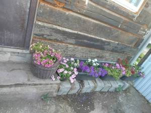 IMG_20260711_051809.jpg