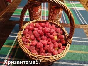IMG_20260712_220948.thumb.jpg.2a3f6897a2879dab4c9c8d90277931c2.jpg