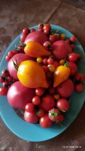 IMG_20260713_081037.thumb.jpg.eb016c204b562010e870e5ff4cebc5c1.jpg