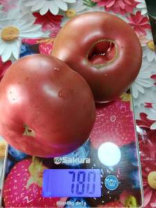 IMG_20260713_083147.thumb.jpg.f484bd71c91aa6cc1f007fb09267b223.jpg