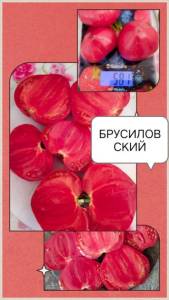 IMG_20260713_145713.thumb.jpg.07ef356e1fb2777fc6edc05fb3aace81.jpg