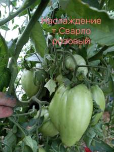 IMG_20260715_134844.jpg