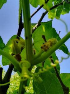 IMG_20260717_101939_418.jpg