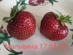 IMG_20260717_132850.jpg