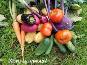 IMG_20260719_125949.thumb.jpg.6f4812349e1453a6afeb6b73656fef71.jpg