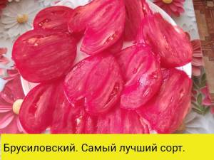 IMG_20260723_085449.thumb.jpg.22103cafc2c439b43bce6354e07fe329.jpg