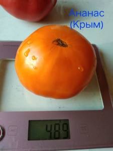 IMG_20260723_112011.jpg