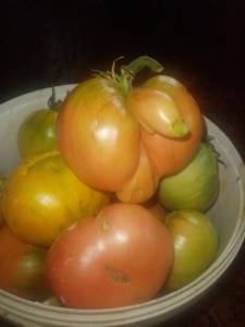 IMG_20260723_203338.jpg