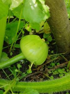 IMG_20260727_162152.jpg