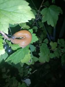 IMG_20260727_215213.jpg