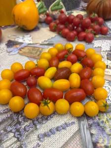 IMG_20260728_164200_646.jpg