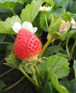 IMG_20260728_180115.jpg