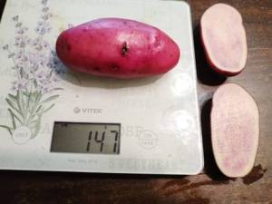 IMG_20260729_145922.thumb.jpg.74c5ccf24fd5a1eb4cd9eee0b43694ac.jpg