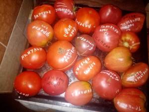 IMG_20260730_203435.jpg
