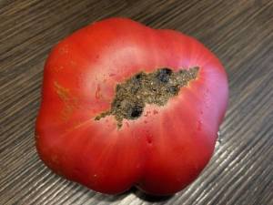 IMG_2356.thumb.jpg.27680415c411fe638f46334f6cf34cb6.jpg