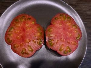 IMG_2357.thumb.jpg.ccc6e5087e08ba5ab933c0b7201153ce.jpg