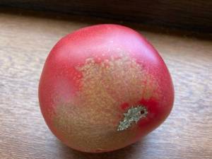 IMG_2378.thumb.jpg.596f0bb5e1ae314e15030c2f54f4f4b9.jpg