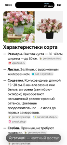 IMG_2592.png